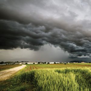 Hailstorm Safety Image